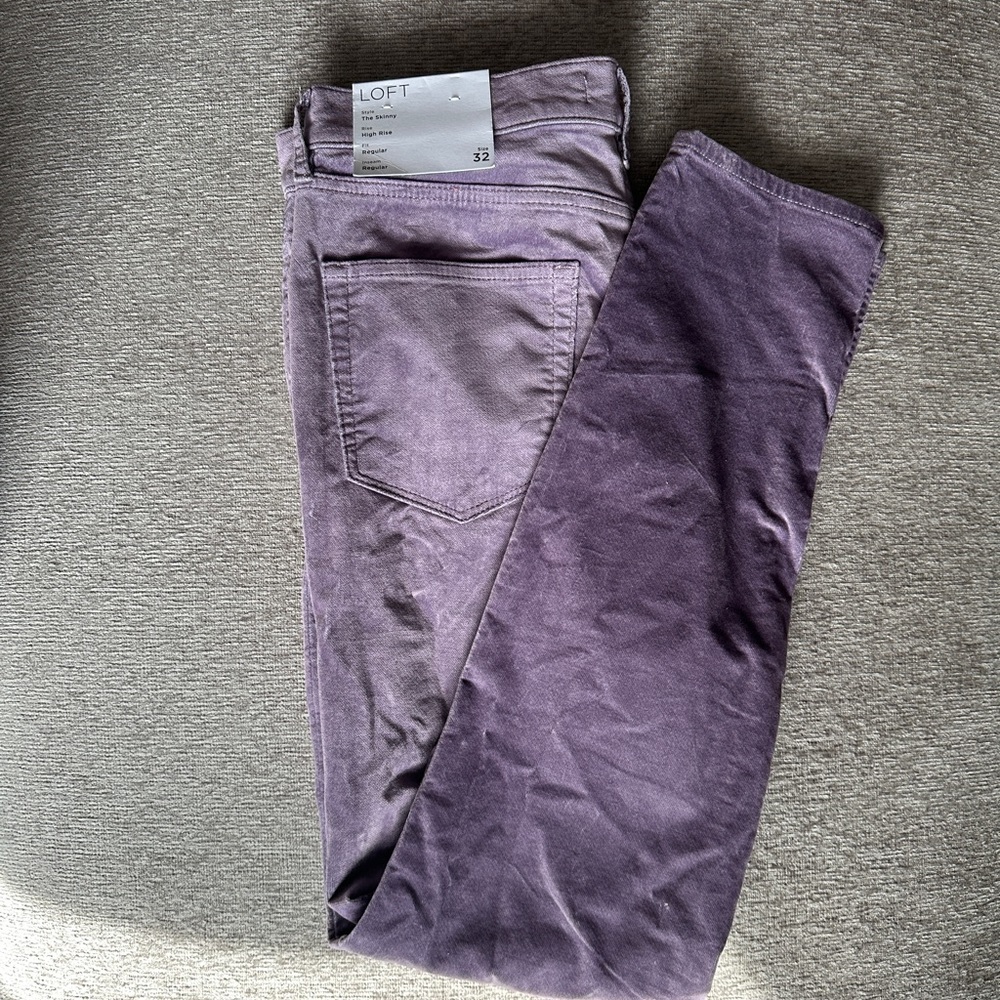 LOFT velvet pants - Brand new